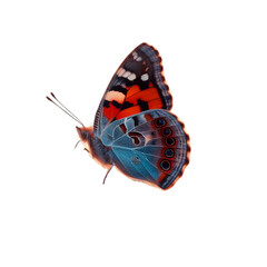 Naklejka premium Admiral butterfly transparent background