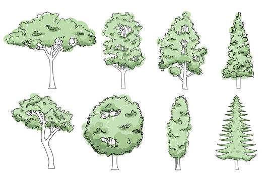 Drawing trees in line art. Hand drawn doodles trees and bushes.tree sketches summer spring trees isolated on white.
