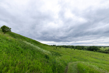 A field of grass with a cloudy sky in the background