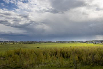 Fototapeta premium A field of grass with a cloudy sky in the background