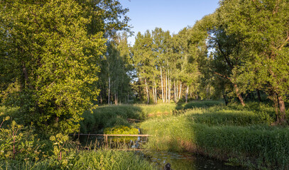 A small river flows peacefully through a dense forest, sunlight filtering through the leaves creating a dappled pattern on the water.