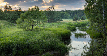 Obraz premium A serene river flows through a verdant meadow surrounded by tall trees, illuminated by the warm glow of the setting sun.