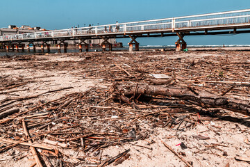 Garbage washed ashore from the sea after high tide. environmental disaster.