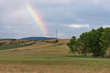 Cereal cultivation fields. Sunset with rainbow

