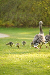 A picture clicked in Denmark