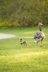 A picture clicked in Denmark