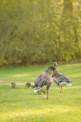 A picture clicked in Denmark