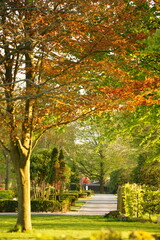 A picture clicked in Denmark