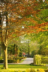 A picture clicked in Denmark