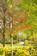 A picture clicked in Denmark