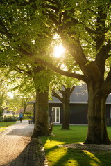 A picture clicked in Denmark
