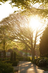 A picture clicked in Denmark
