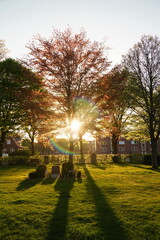 A picture clicked in Denmark
