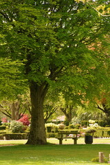 A picture clicked in Denmark
