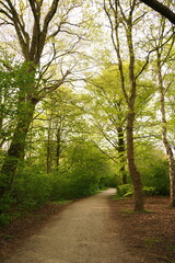 Fototapeta premium A picture clicked in Denmark 