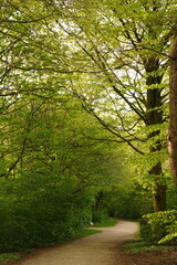 A picture clicked in Denmark
