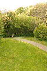 Fototapeta premium A picture clicked in Denmark 