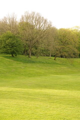 A picture clicked in Denmark
