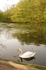 A picture clicked in Denmark
