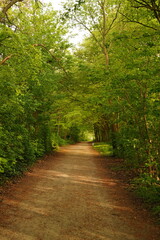 A picture clicked in Denmark