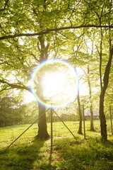 A picture clicked in Denmark