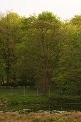 A picture clicked in Denmark