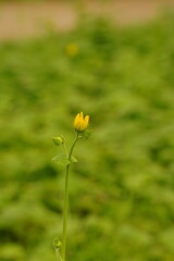 A picture clicked in Denmark