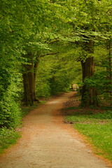 A picture clicked in Denmark