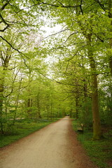 A picture clicked in Denmark