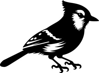 Vector silhouette of a beautiful bird Blue jay
