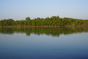 Sundarbans in Bangladesh - The largest mangrove forest in the world.