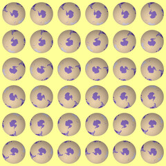 Collection of globes. South pole sphere view. Rotation step 10 degrees. Colored countries style.