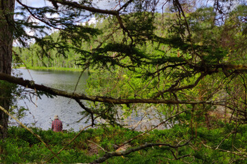 Typical Finnish National Park view with lakes, forest and blue skies. Wild nature in summer season