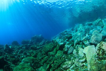 Rocky landscape near surface