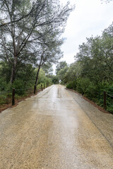 Road to Cala Mitjana, Menorca