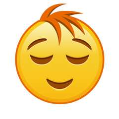Fototapeta premium Slightly smiling face Large size of yellow emoji smile with hair