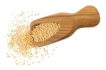 Amaranth grain seeds in wooden scoop isolated on white background. Top view. Flat lay