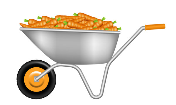 wheelbarrow full of orange carrots clip art preview