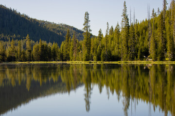 Obraz premium reflection in the lake