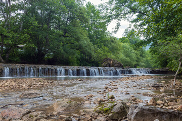 Obraz premium River in the forest in summer.