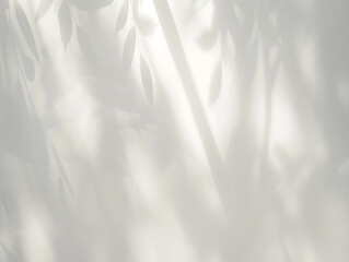 Obraz premium leaf shadows