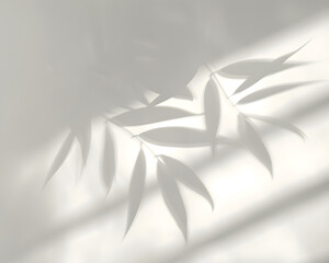 Obraz premium leaf shadows