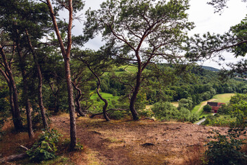 Höllberg bei Siefersheim, Juni 2024