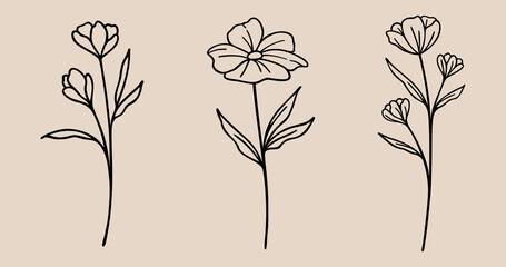 Floral Line Art Bundle | Wildflower Vector Illustration | Botanical Hand Drawn Designs