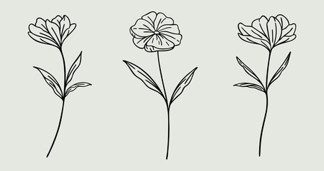 Floral Line Art Bundle | Wildflower Vector Illustration | Botanical Hand Drawn Designs