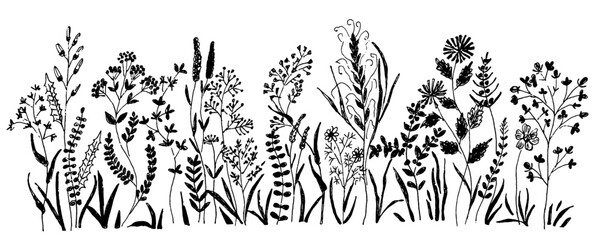 Hand drawn  set of simple decorative floral and garden elements. Black icons such as flowers, leaves, lines isolated on white background.  © Vitalii