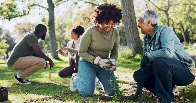 Gardening, people or volunteers high five in nature for support, community project or success in park sustainability. Planting goal, teamwork or happy group in charity target or NGO for tree growth - Powered by Adobe