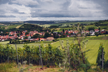 Blick vom Höllberg auf Siefersheim, Juni 2024