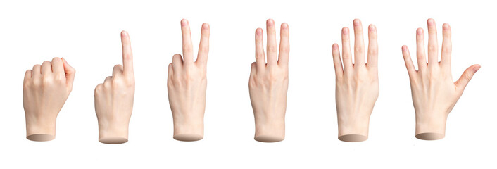 Hand showing fingers counting. One, two, three, four, five numbers isolated. Gestures for count,...