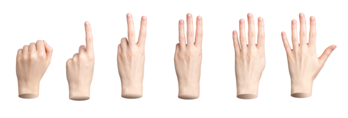 Hand showing fingers counting. One, two, three, four, five numbers isolated. Gestures for count, nonverbal communication, transparent PNG cutout